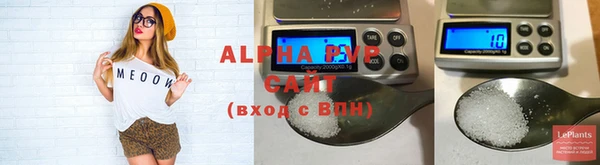 Альфа ПВП Новозыбков
