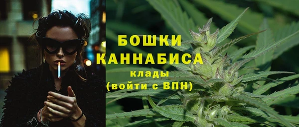 бошки Инта